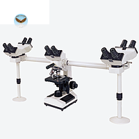 Kính hiển vi đa góc nhìn HINOTEK XSZ-N204